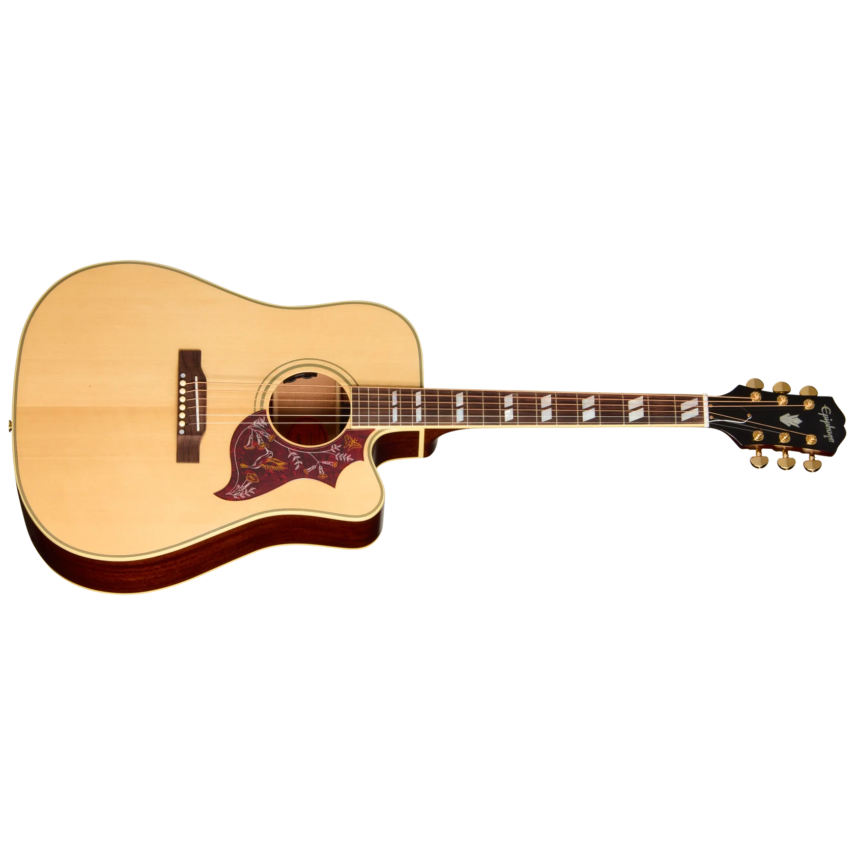 Epiphone Hummingbird Standard EC : Hummingbird Standard EC