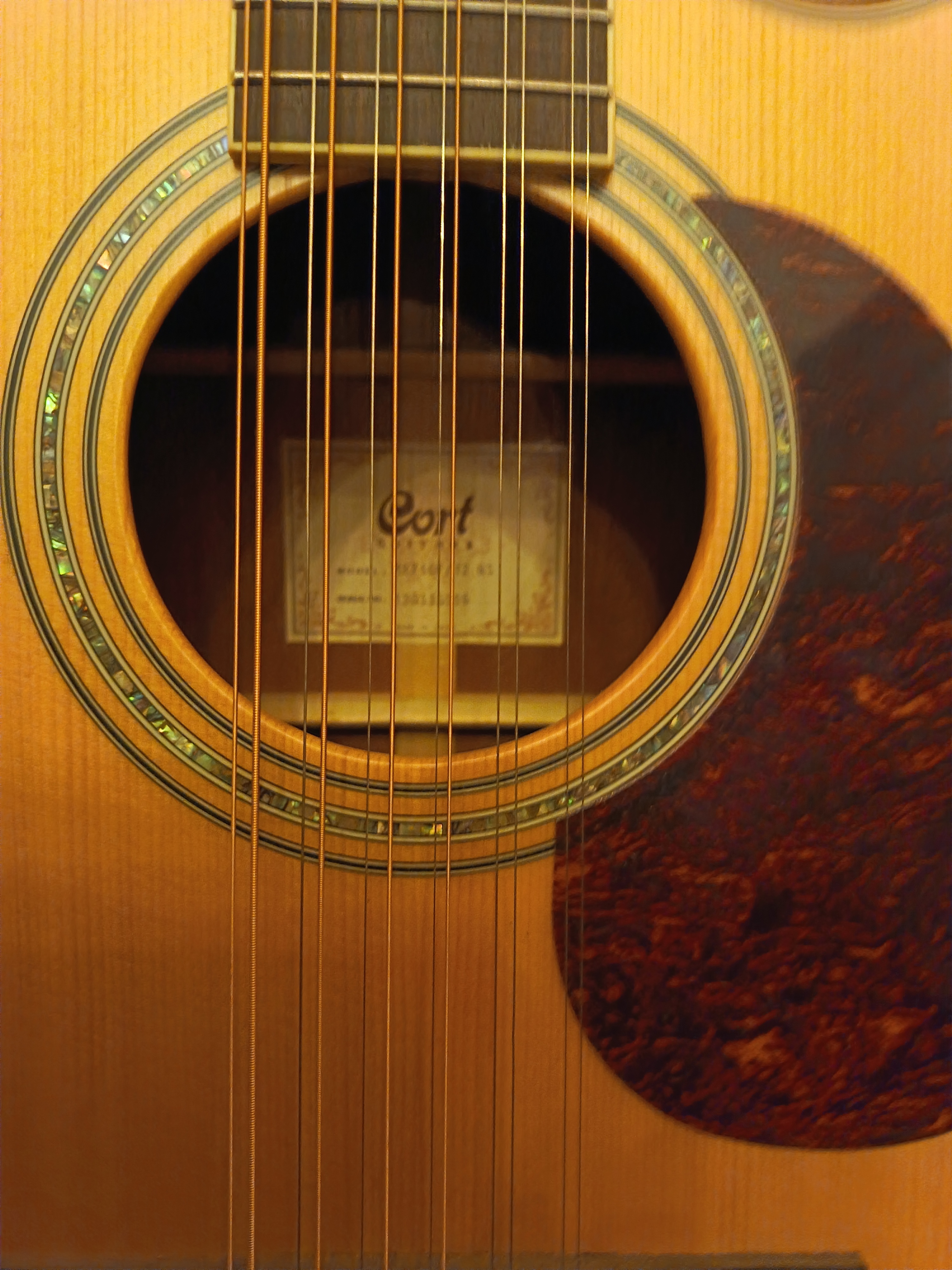 Guitare 12 cordes CORT MR 710 F