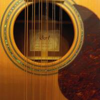 Guitare 12 cordes CORT MR 710 F