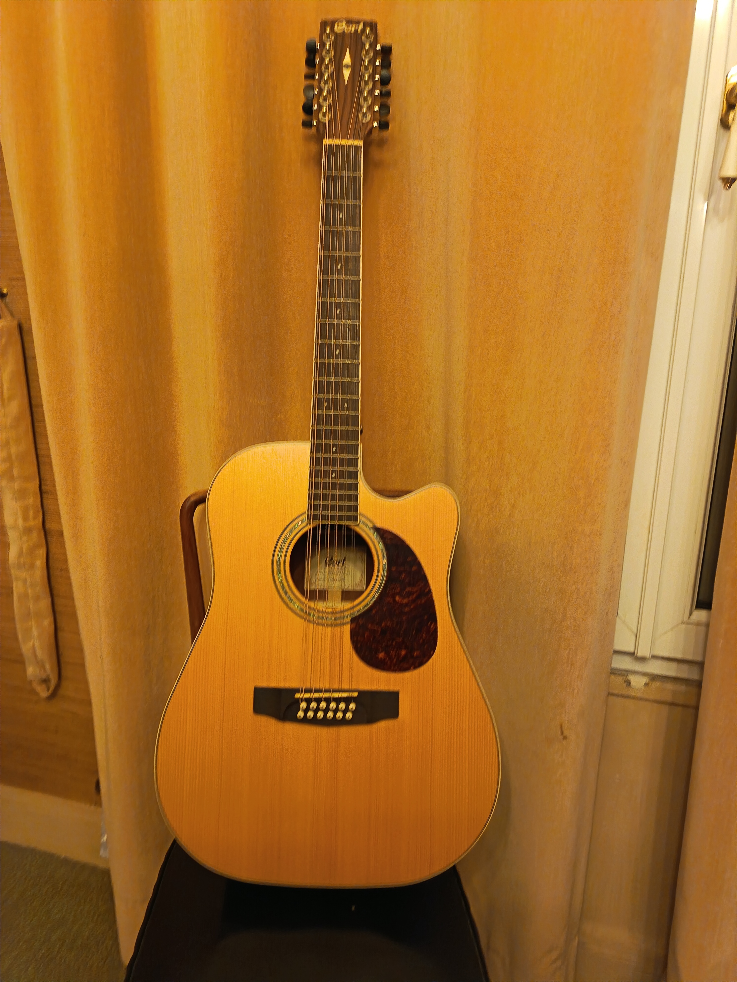 CORT 12 cordes