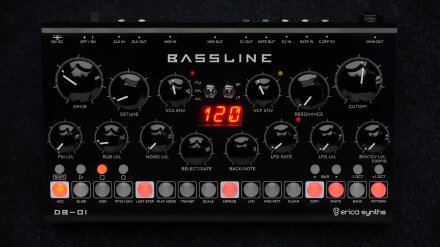 Erica Synth Bassline DB-01 Erica Synth Bassline DB-01