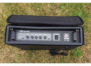 Ampeg B-1RE (49639)
