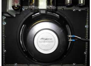 Ampeg J-20