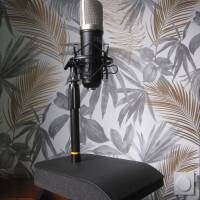 Micro T-Bone SC-450 + Support Roadworx