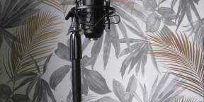 Micro T-Bone SC-450 + Support Roadworx