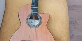 GUITARE PACO CASTILLO 234 TE