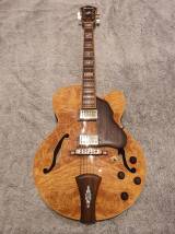 Ibanez AF105BM