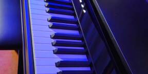 Piano numérique casio privia px s7000 de 2026