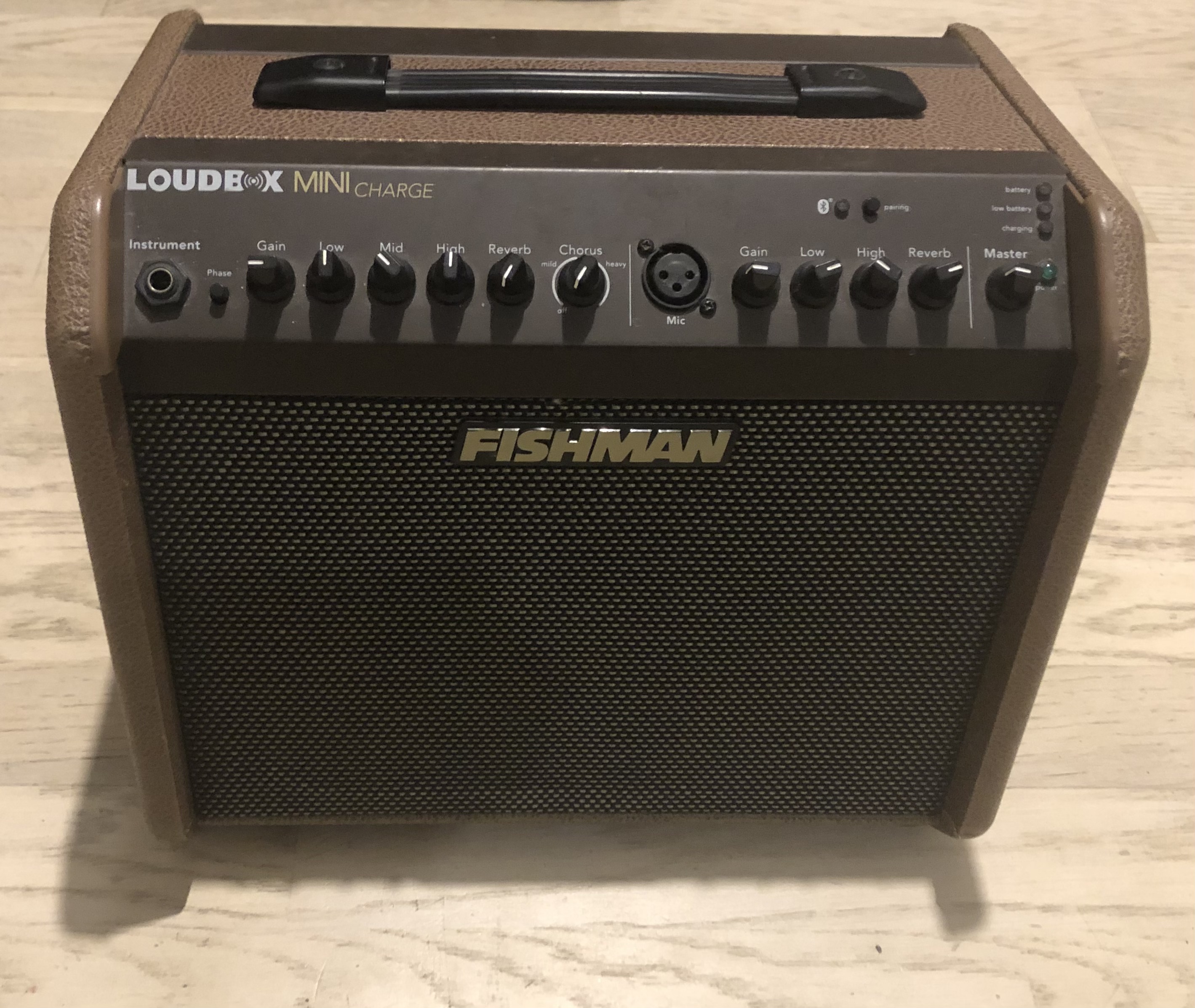 Fishman Loudbox mini charge 