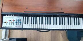 Hohner string melody 2