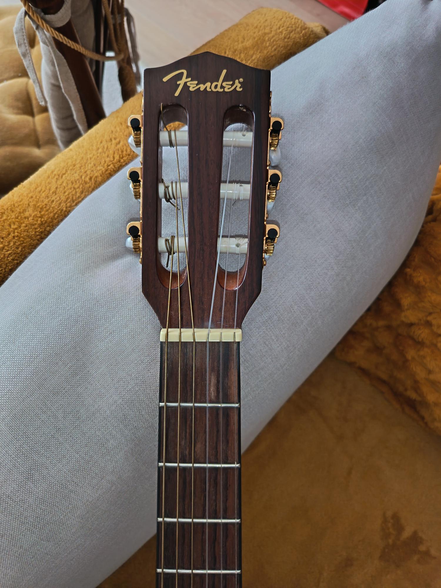 FENDER 3