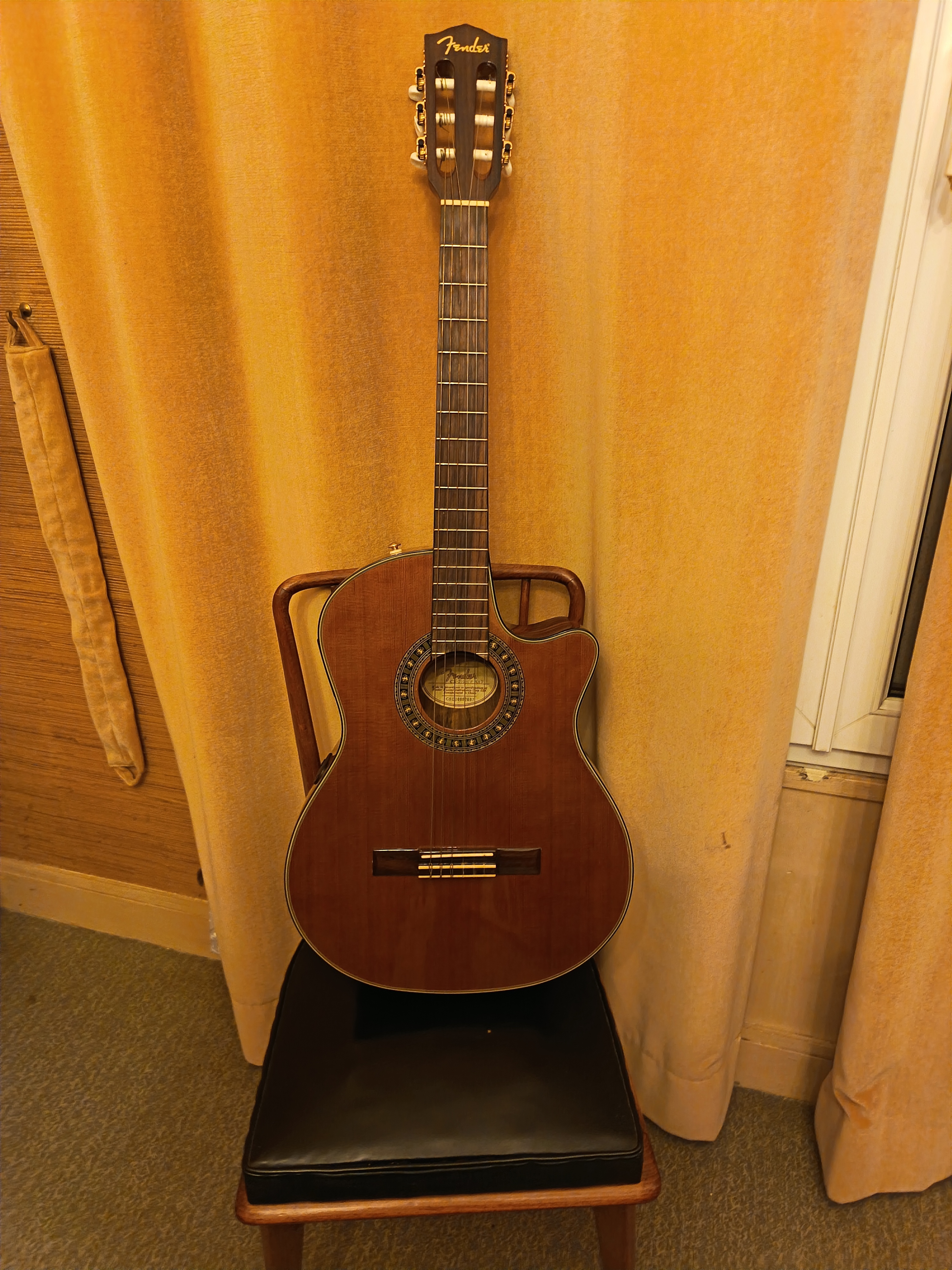 Fender Electro