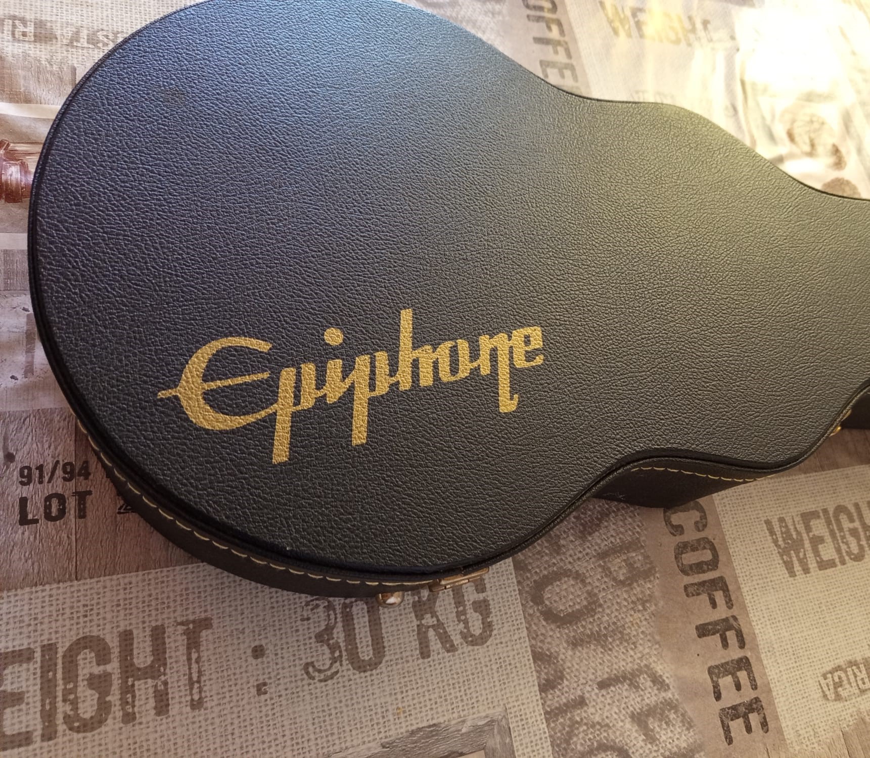 Case Epiphone Les Paul