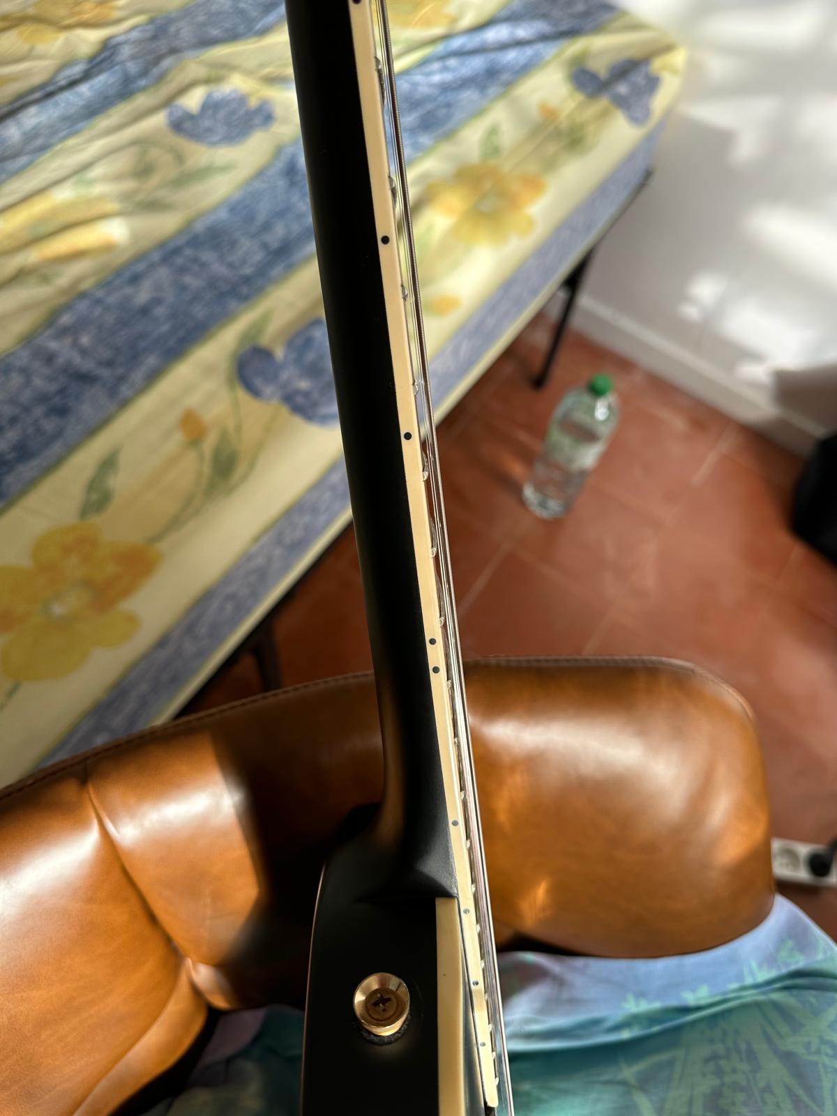 Harley Benton SC-Custom Plus  (9)