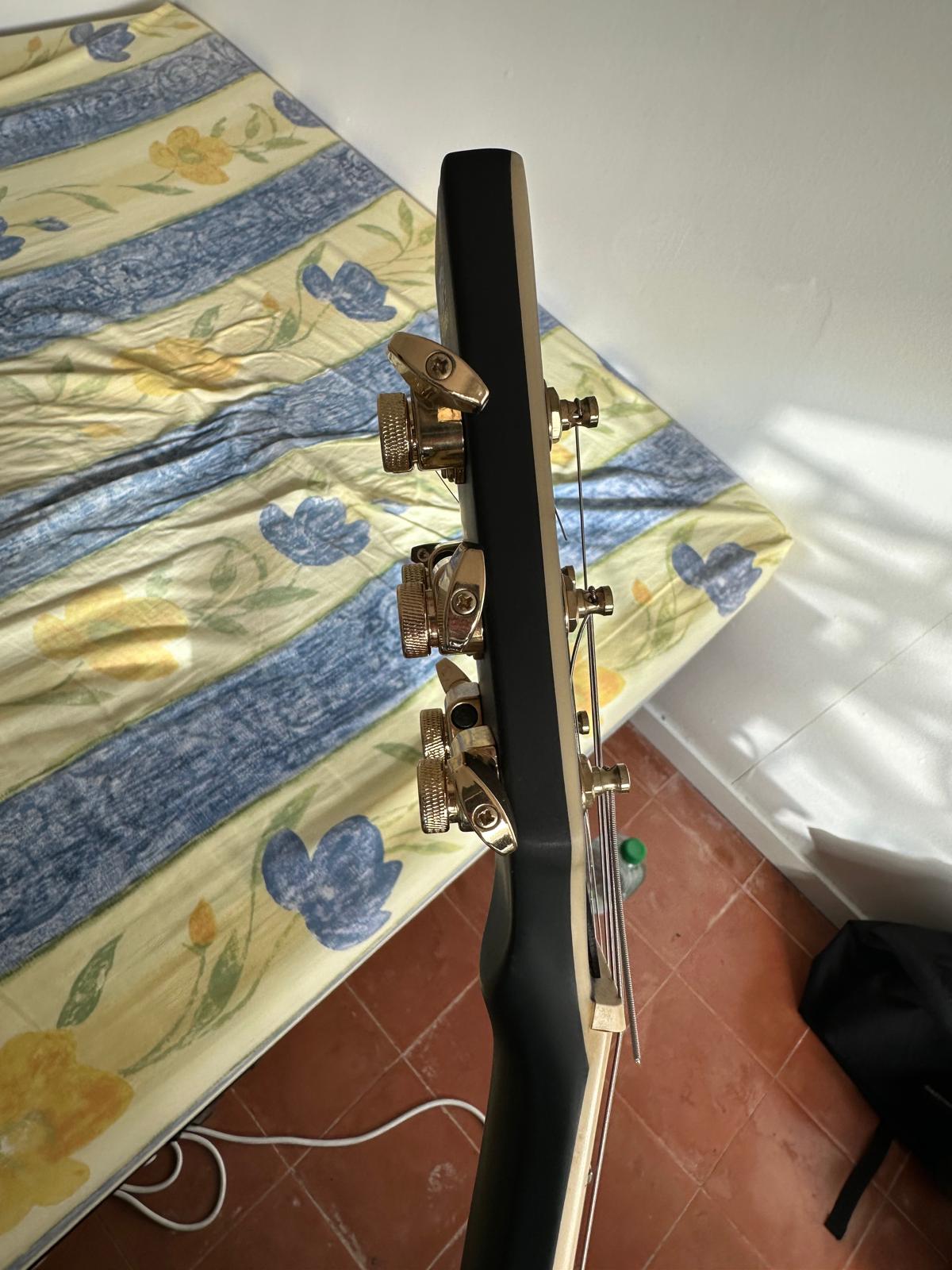 Harley Benton SC-Custom Plus  (10)