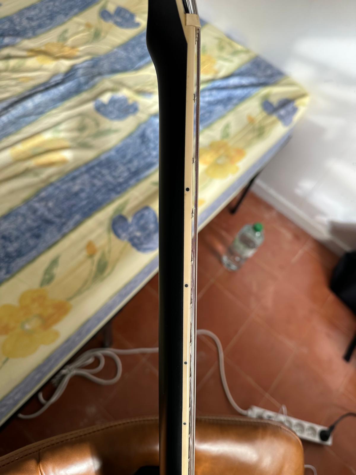 Harley Benton SC-Custom Plus  (11)