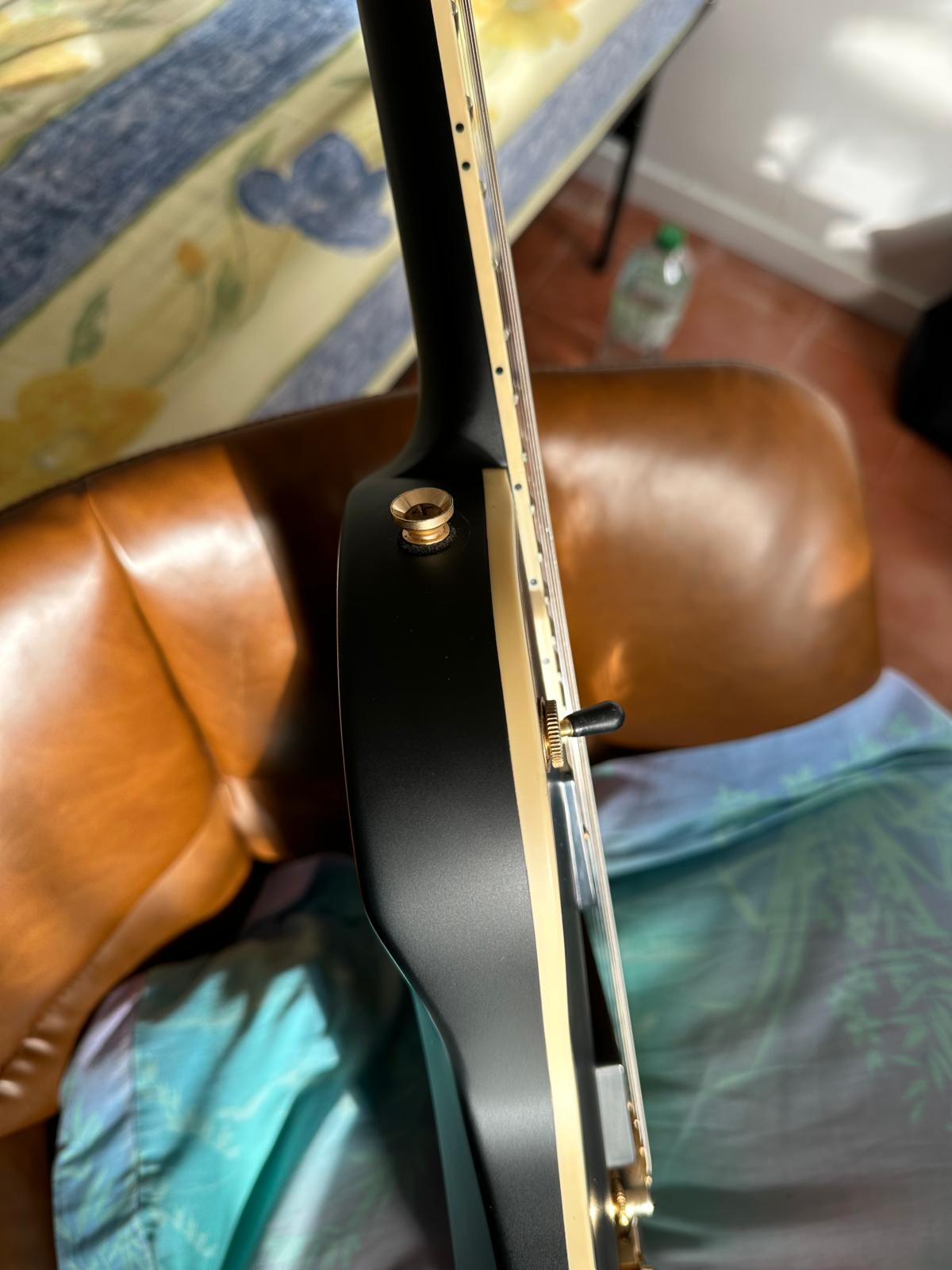 Harley Benton SC-Custom Plus  (12)