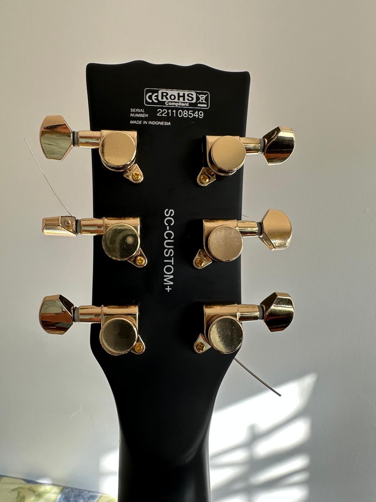 Harley Benton SC-Custom Plus  (14)