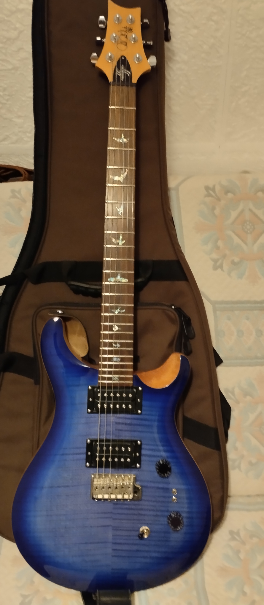 PRS 35th Anniversary SE Custom 24