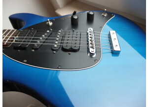 Music Man Steve Morse (68501)