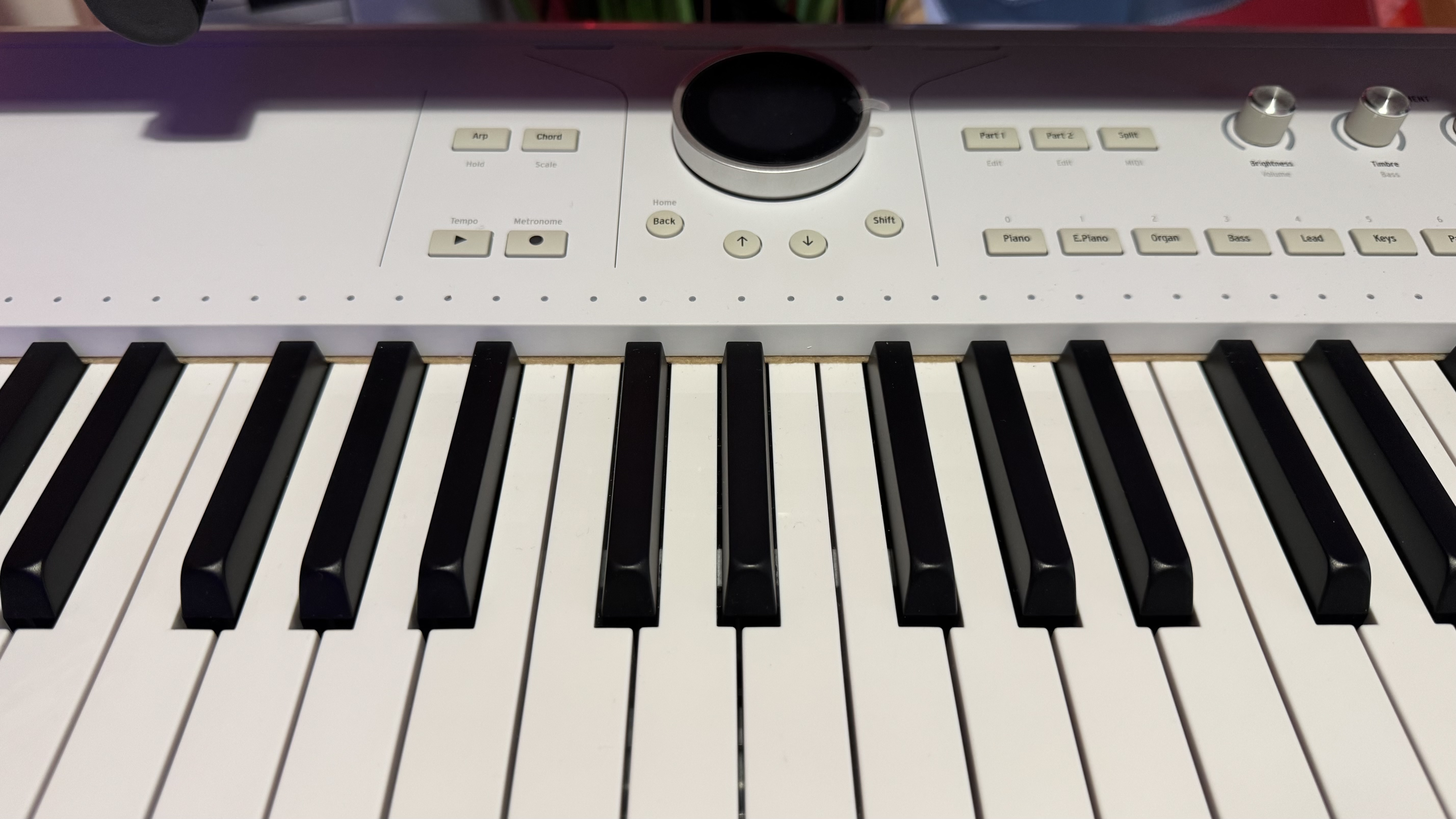 Arturia AstroLab 61 (88570)