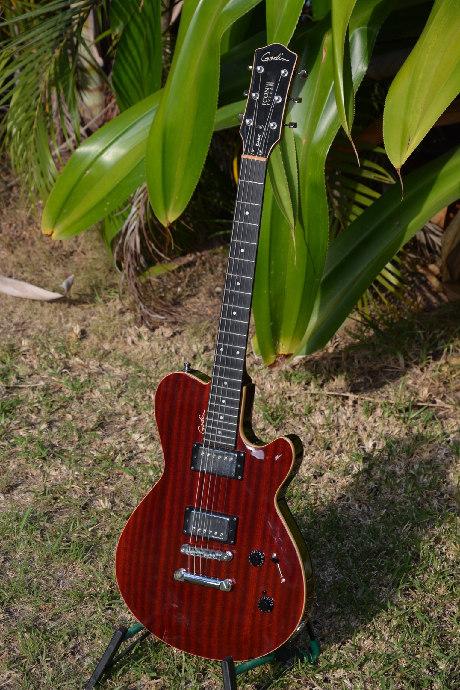 Godin Icon Type2 Classic