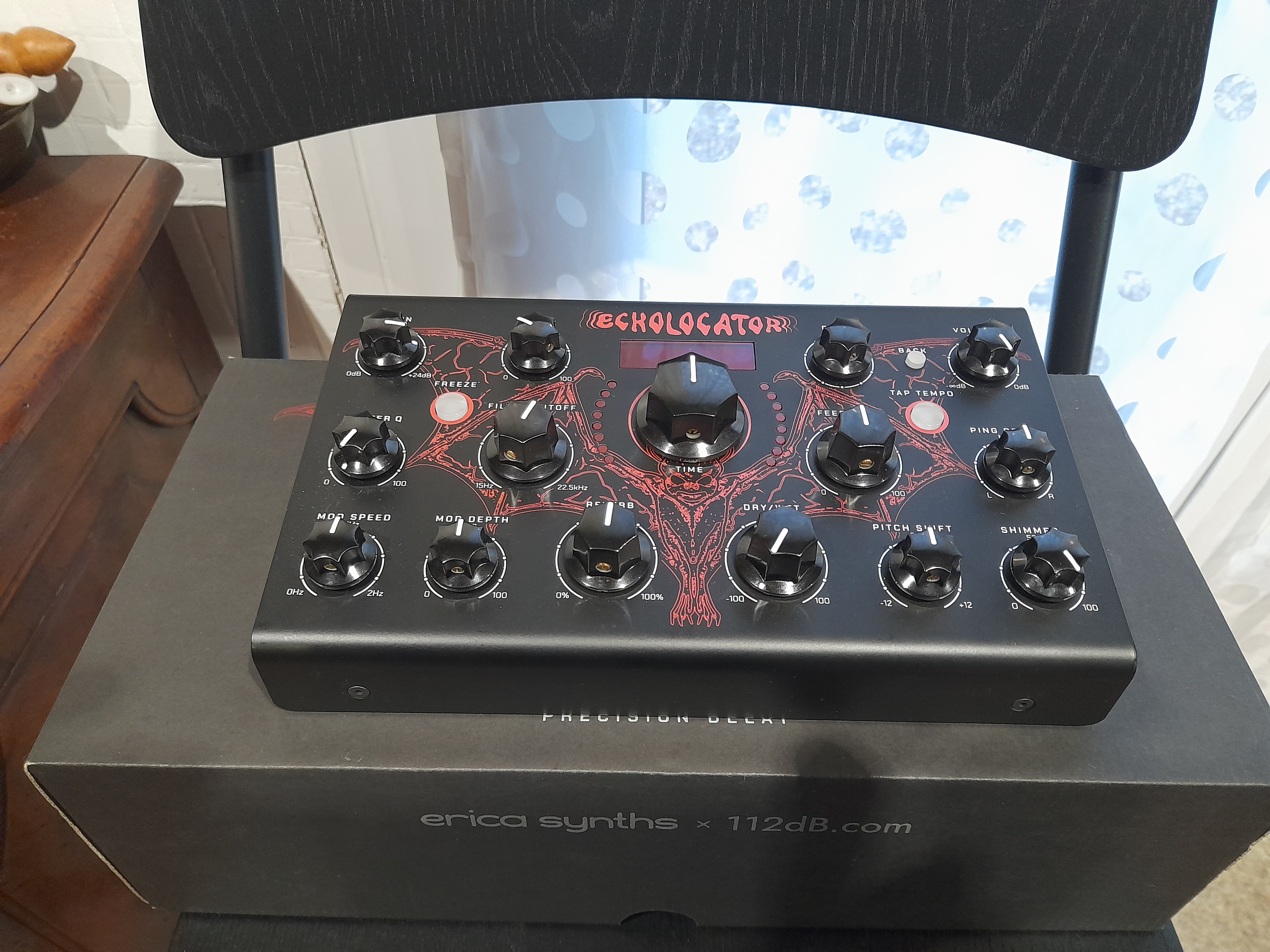 Erica Synths Echolocator