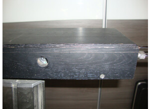 Moog Music Theremin Etherwave