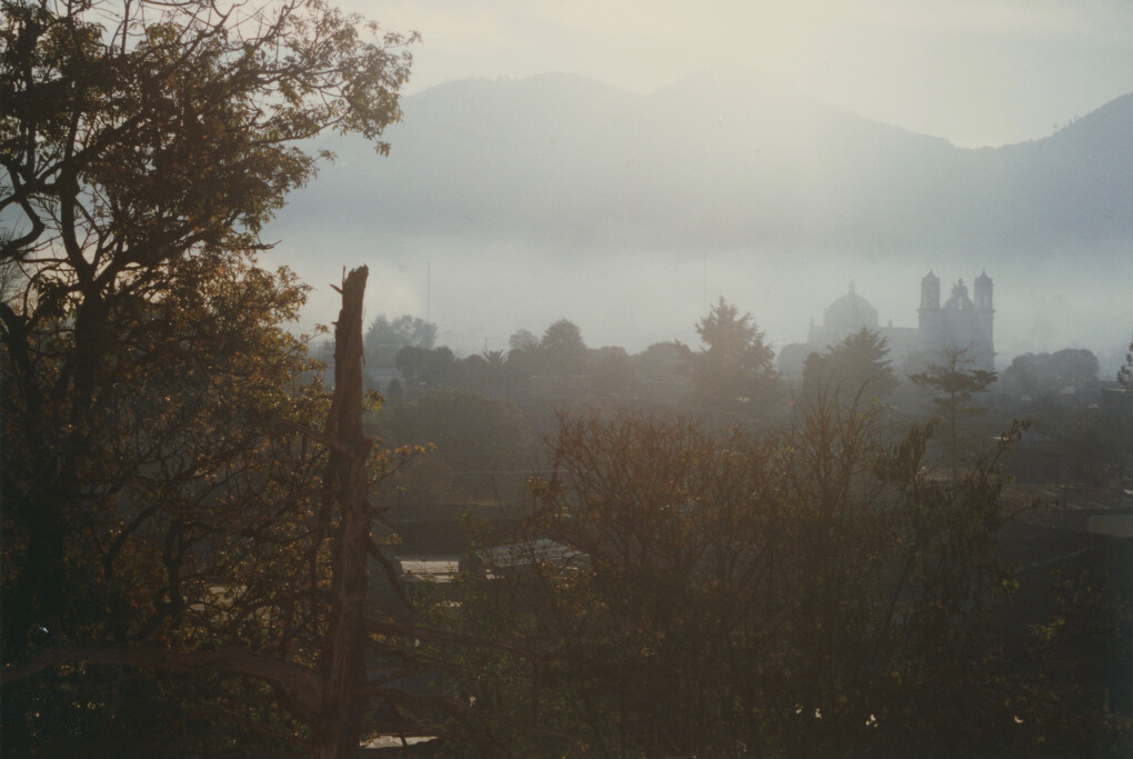 6775276.jpeg 6775276.jpeg