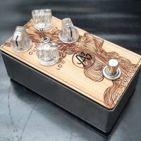 Anasounds Element, spring reverb driver + tank