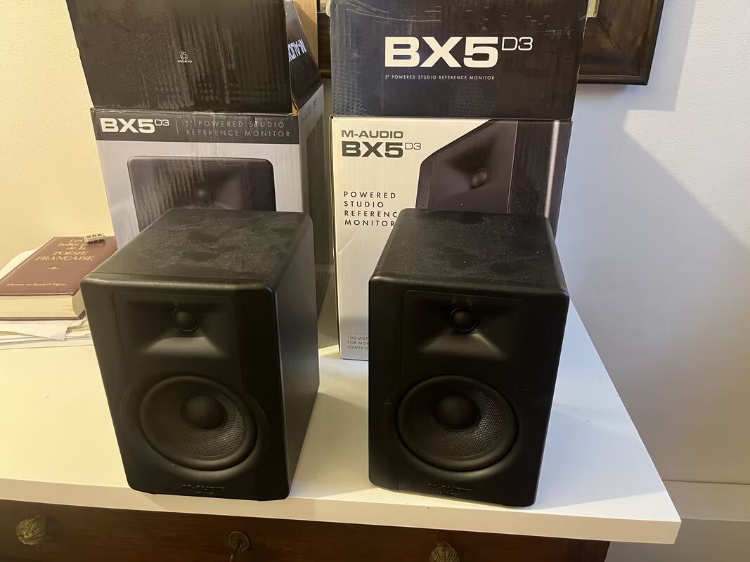 BX5 D3 de studio 2 voies, bi-amplifiée 100 watts.