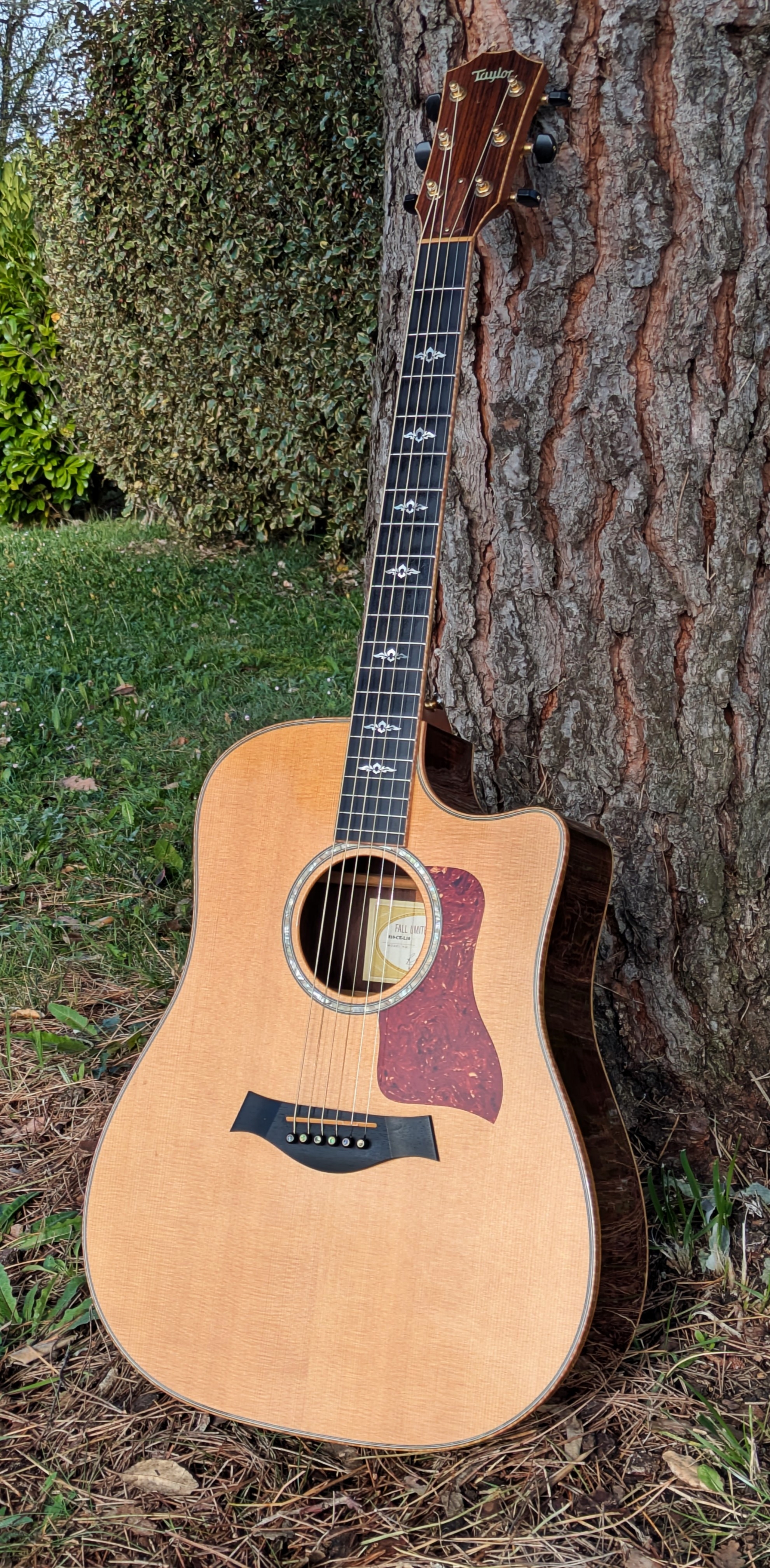 TAYLOR 810ce-L10 FALL LIMITED EDITION 2005