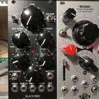 Vends Module Erica Synth Black BBD