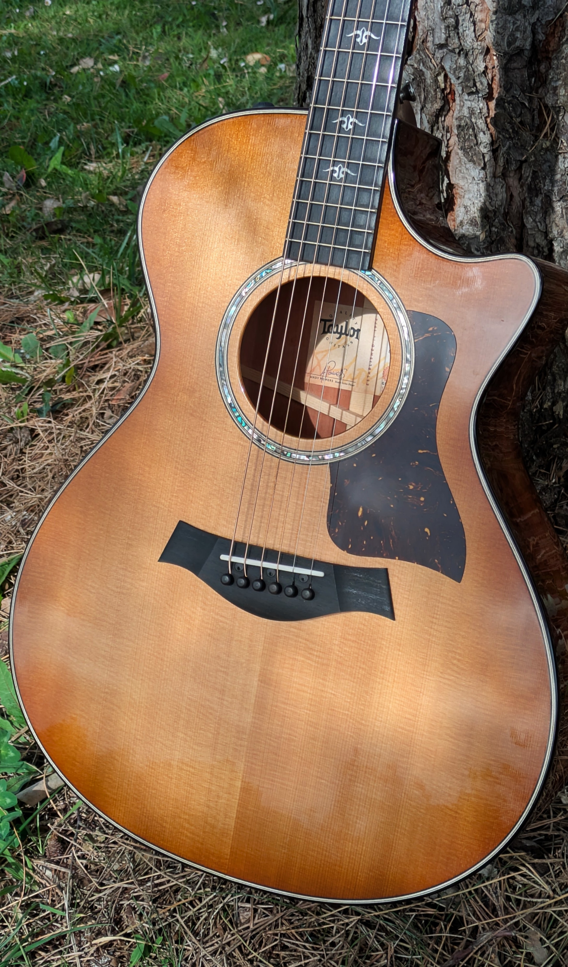 TAYLOR 512ce Red Urban Ironbark Grand Concert V-Class 2023