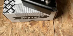 Strymon Flint V1