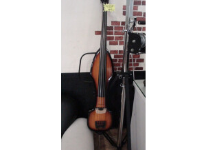 Palatino VE- 500 Upright Bass