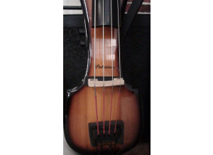 Palatino VE- 500 Upright Bass