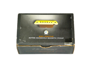 L.R. Baggs M1 Active (21297)