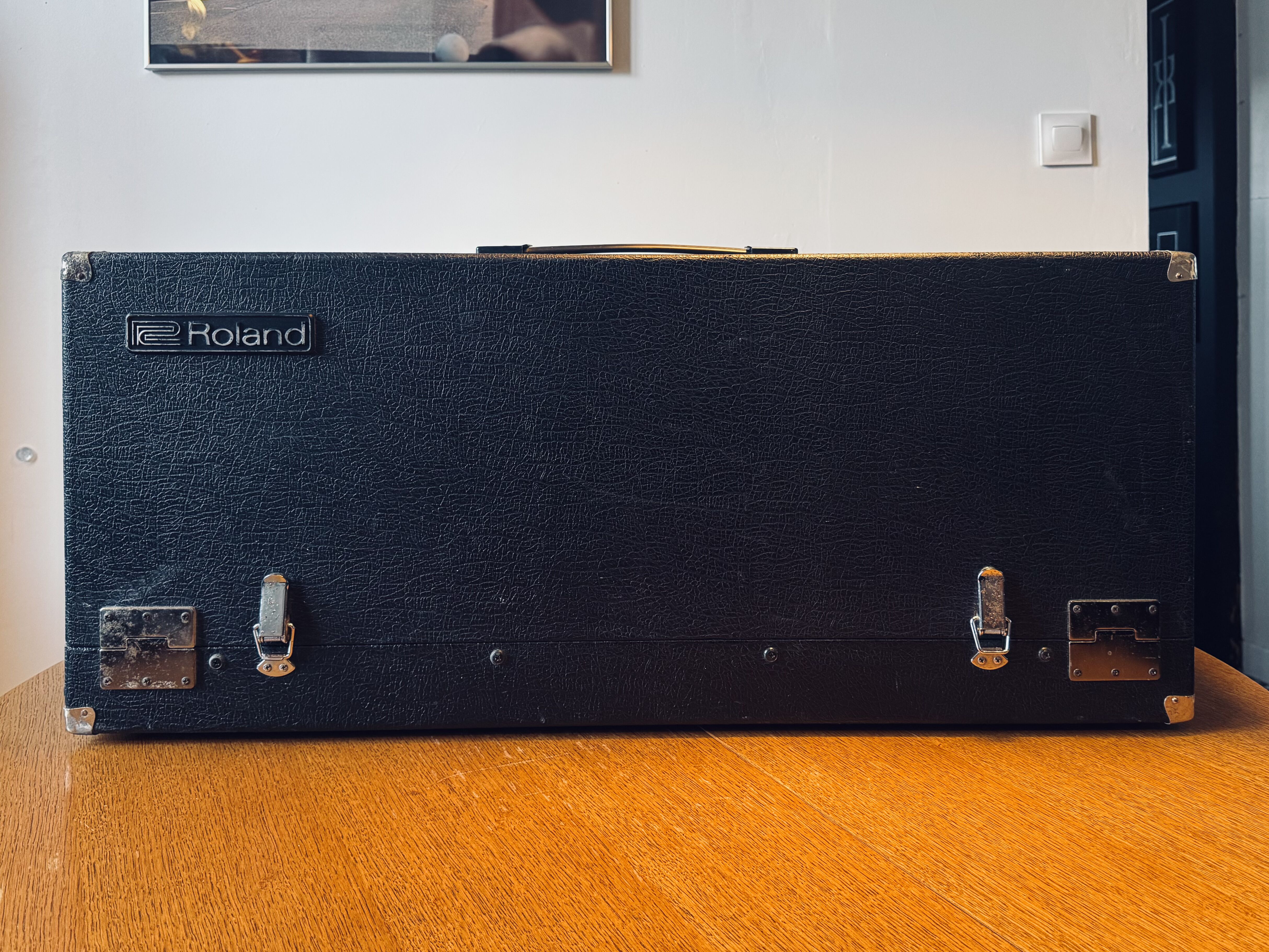 Roland SH-5 (8980)
