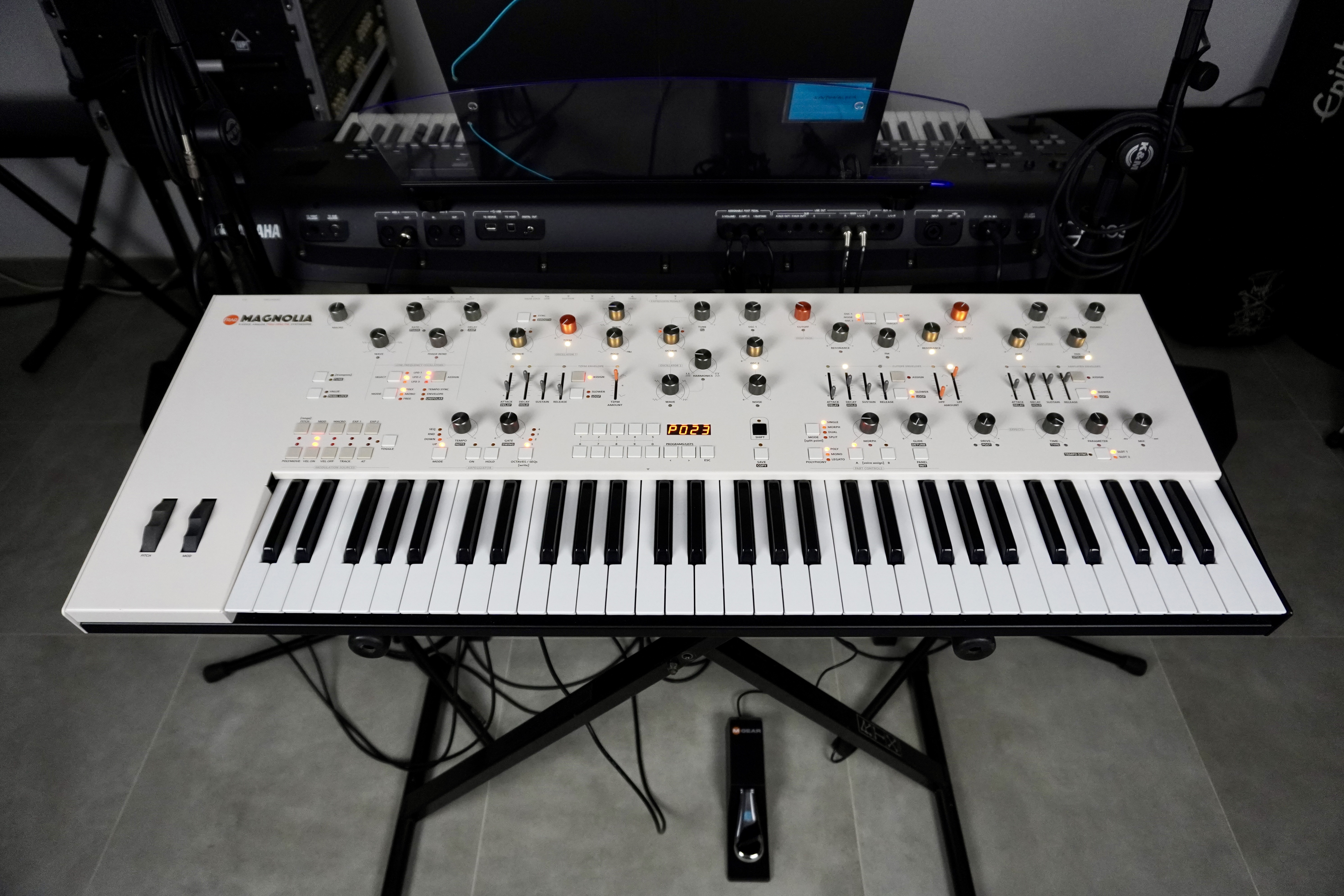 Magnolia 2tof 01 Face