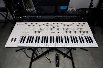 Magnolia 2tof 01 Face Magnolia 2tof 01 Face