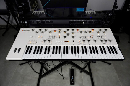 Magnolia 2tof 01 Face Magnolia 2tof 01 Face