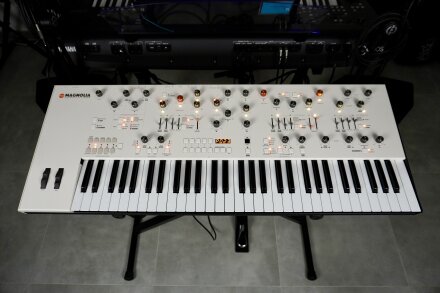 Magnolia 2tof 02 Face Magnolia 2tof 02 Face