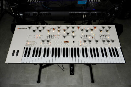 Magnolia 2tof 02 Face Magnolia 2tof 02 Face