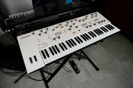 Magnolia 2tof 03 Gauche Magnolia 2tof 03 Gauche