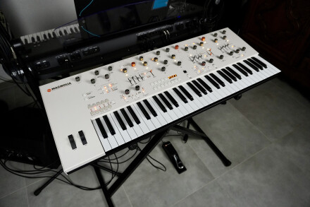 Magnolia 2tof 03 Gauche Magnolia 2tof 03 Gauche