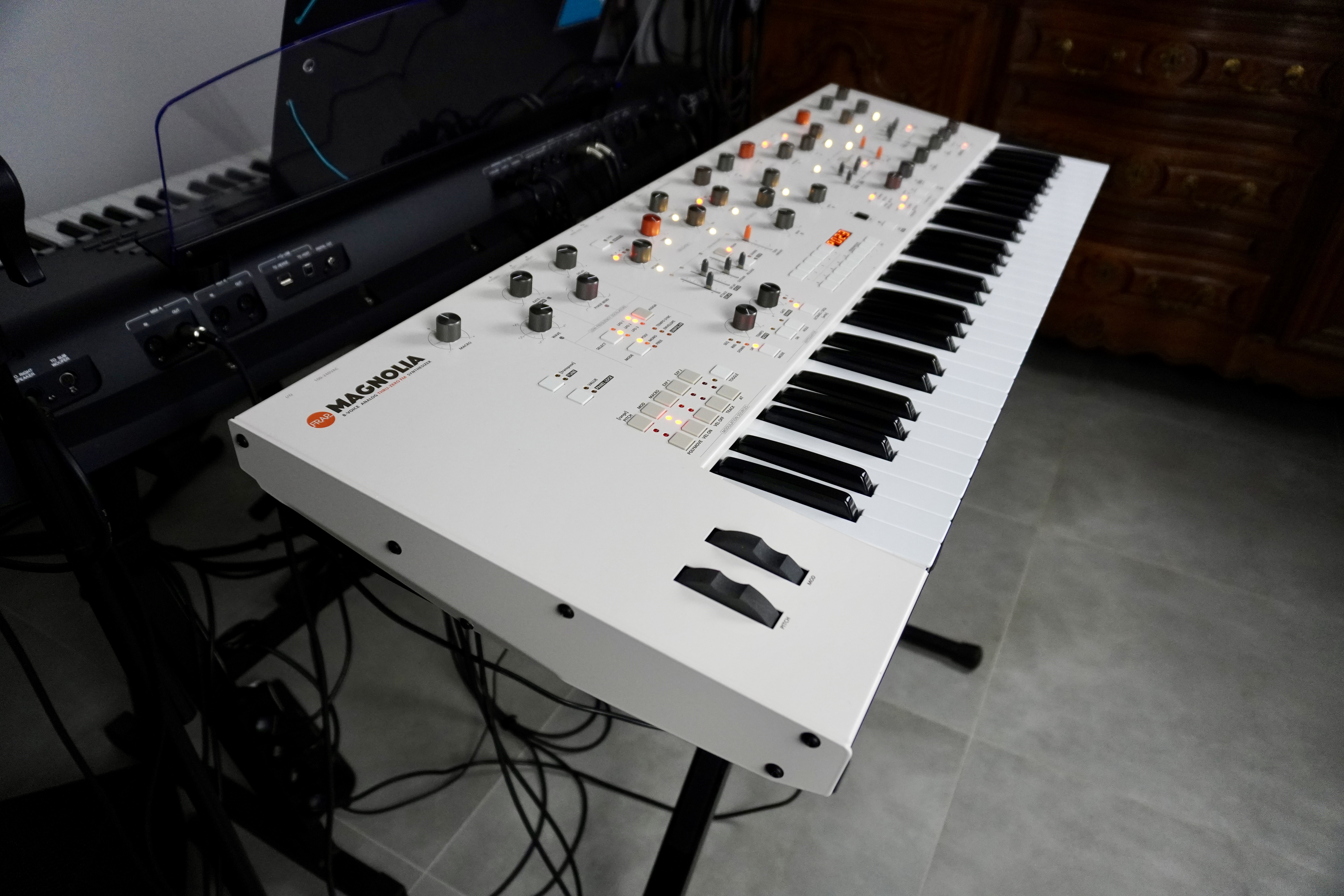 Magnolia 2tof 04 Gauche