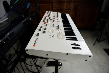 Magnolia 2tof 05 Gauche Magnolia 2tof 05 Gauche