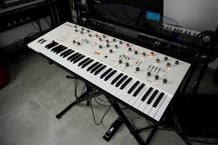 Magnolia 2tof 06 Droite Magnolia 2tof 06 Droite