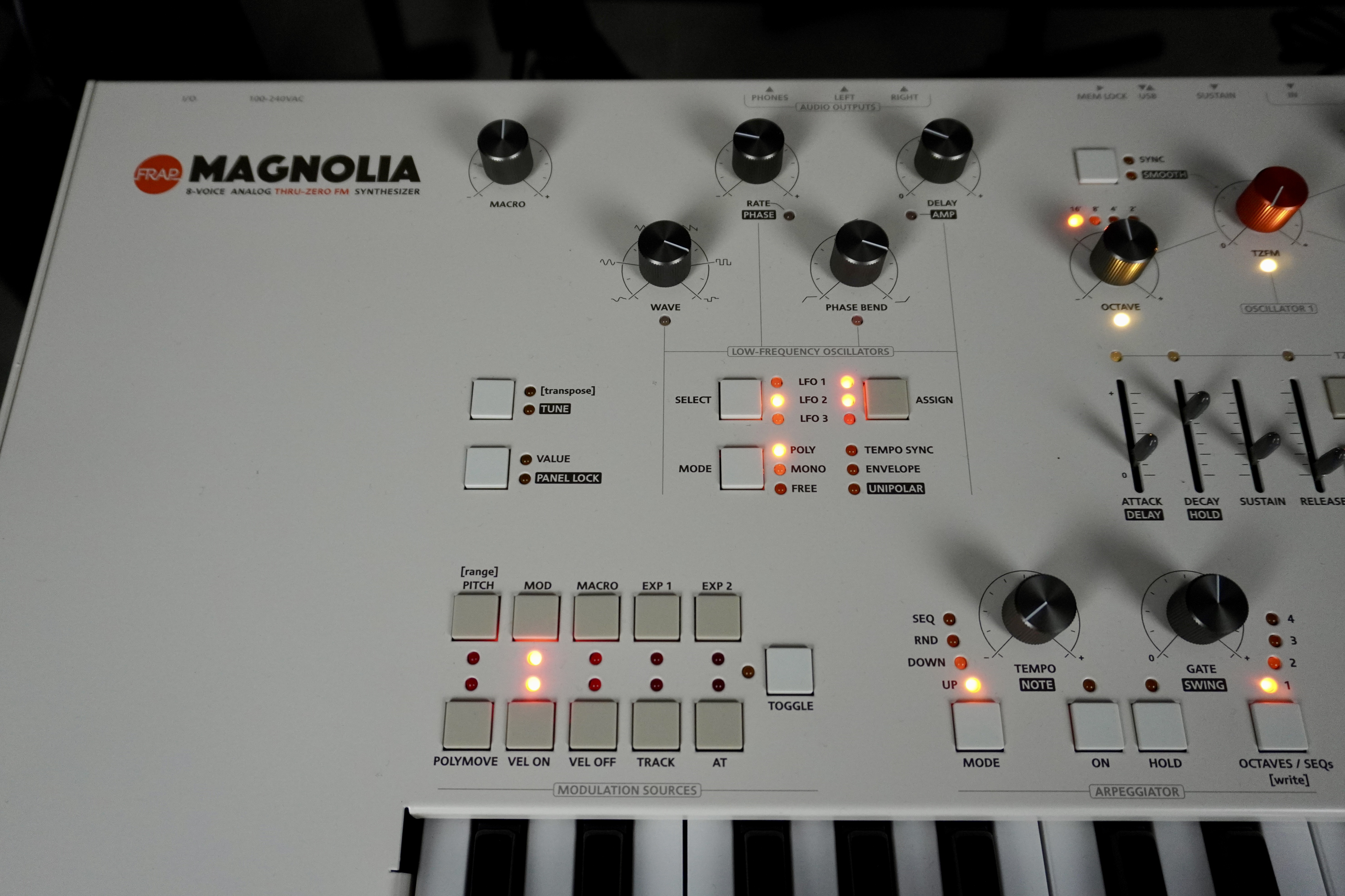 Magnolia 2tof 07 Zoom Gauche